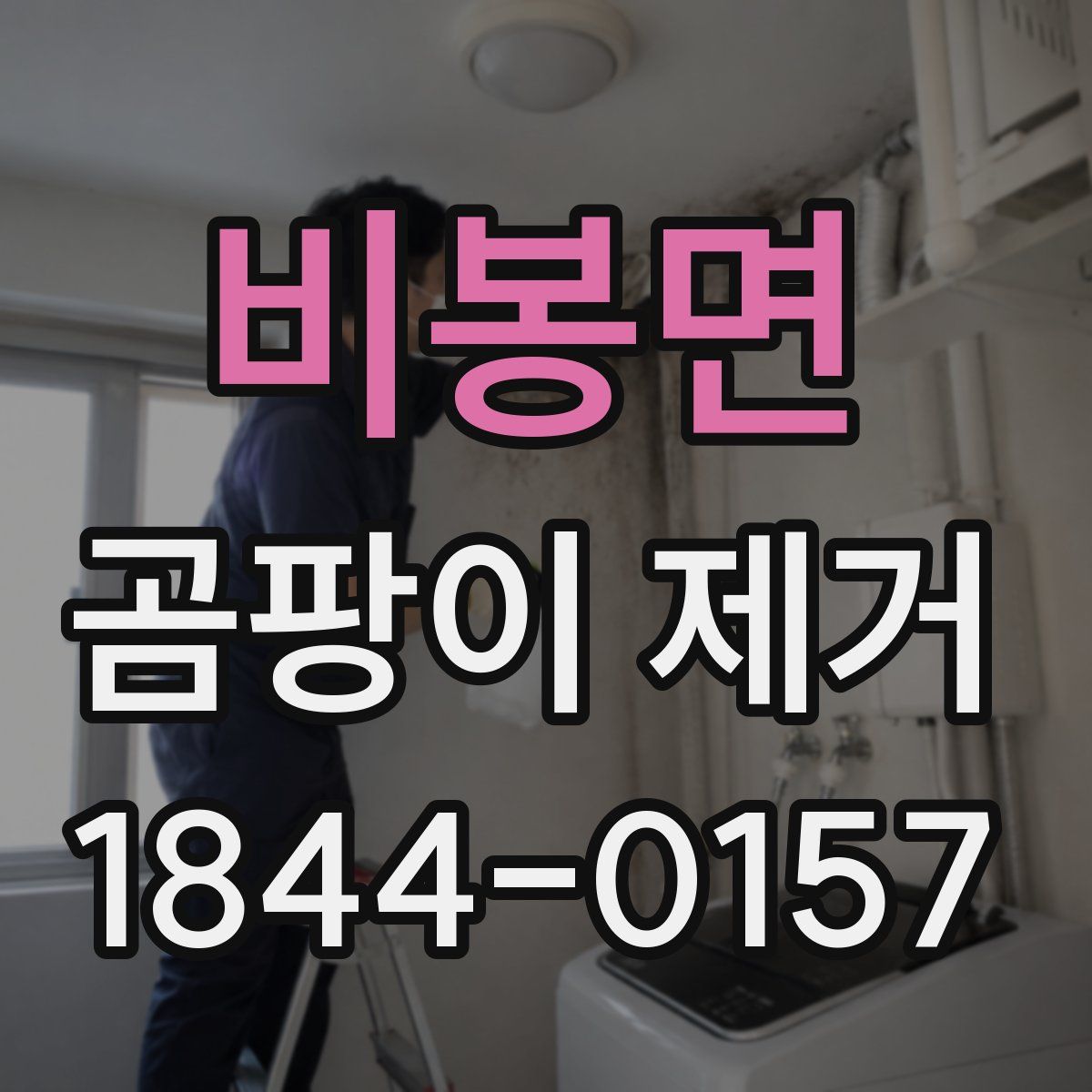 비봉면 곰팡이 제거
