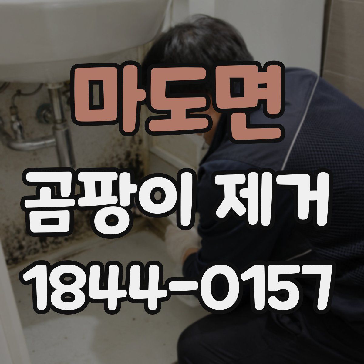 마도면 곰팡이 제거