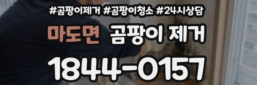 마도면 곰팡이 제거