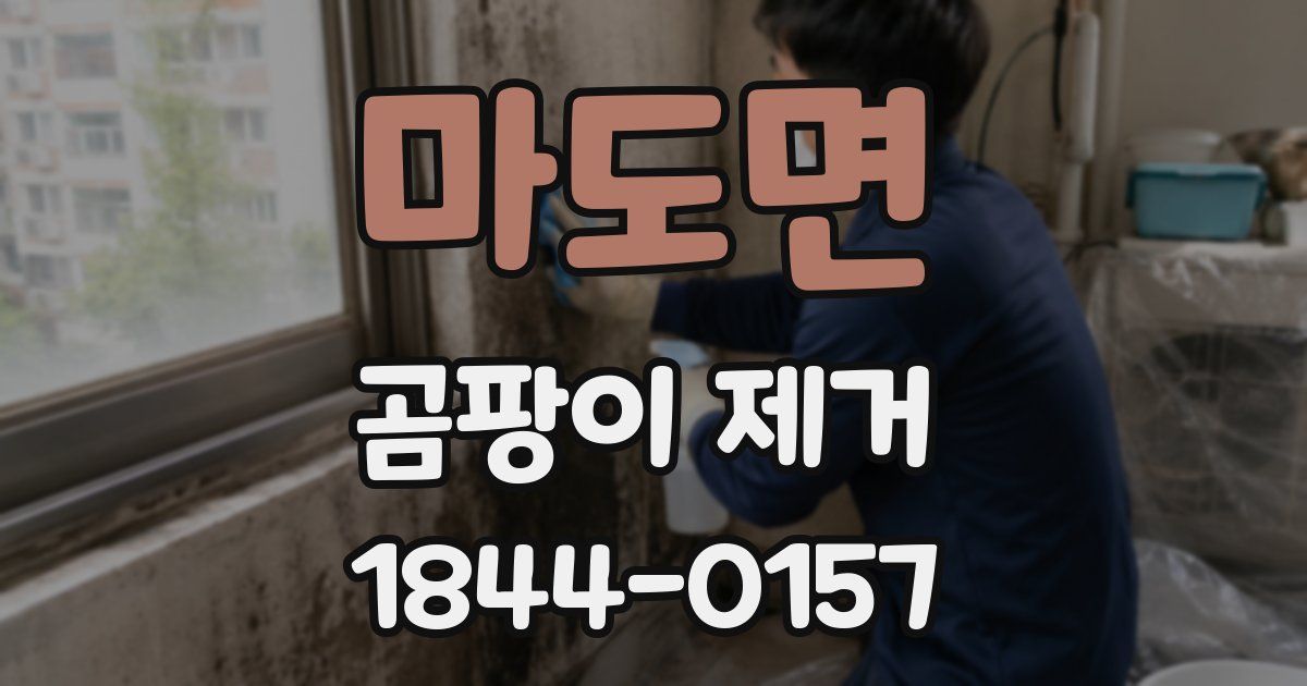 마도면 곰팡이 제거