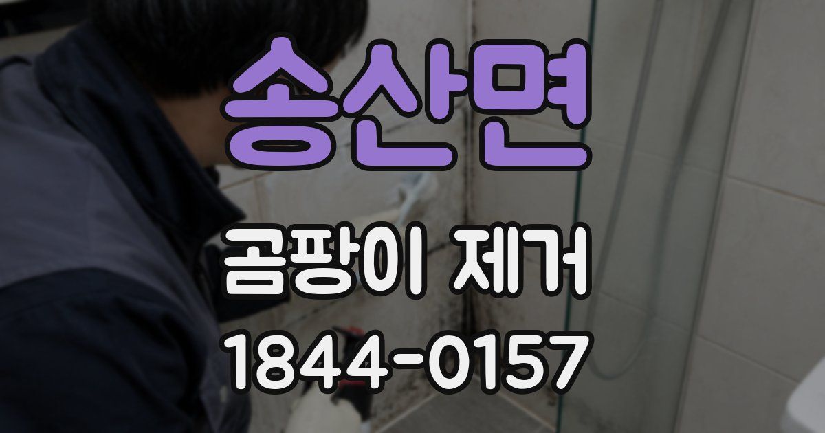 송산면 곰팡이 제거