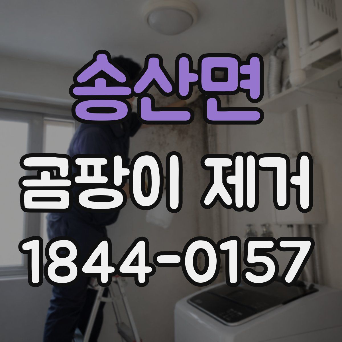 송산면 곰팡이 제거
