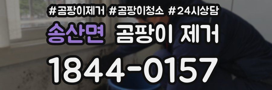 송산면 곰팡이 제거