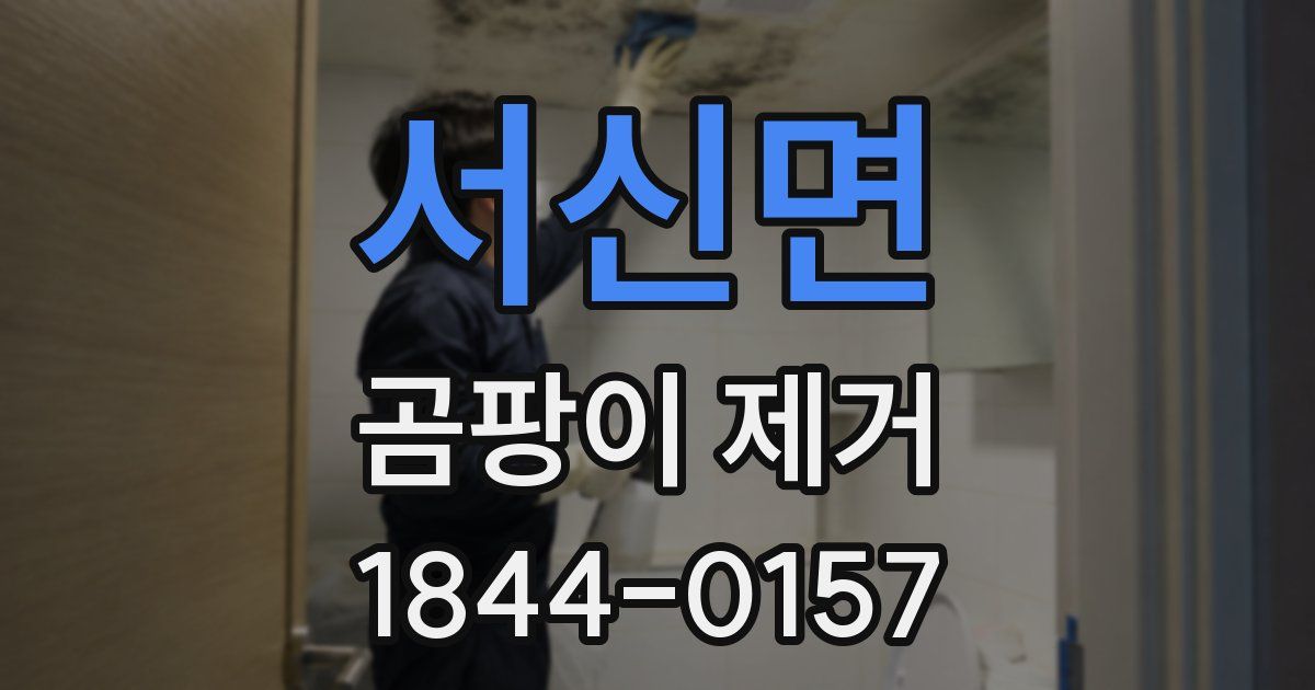 서신면 곰팡이 제거