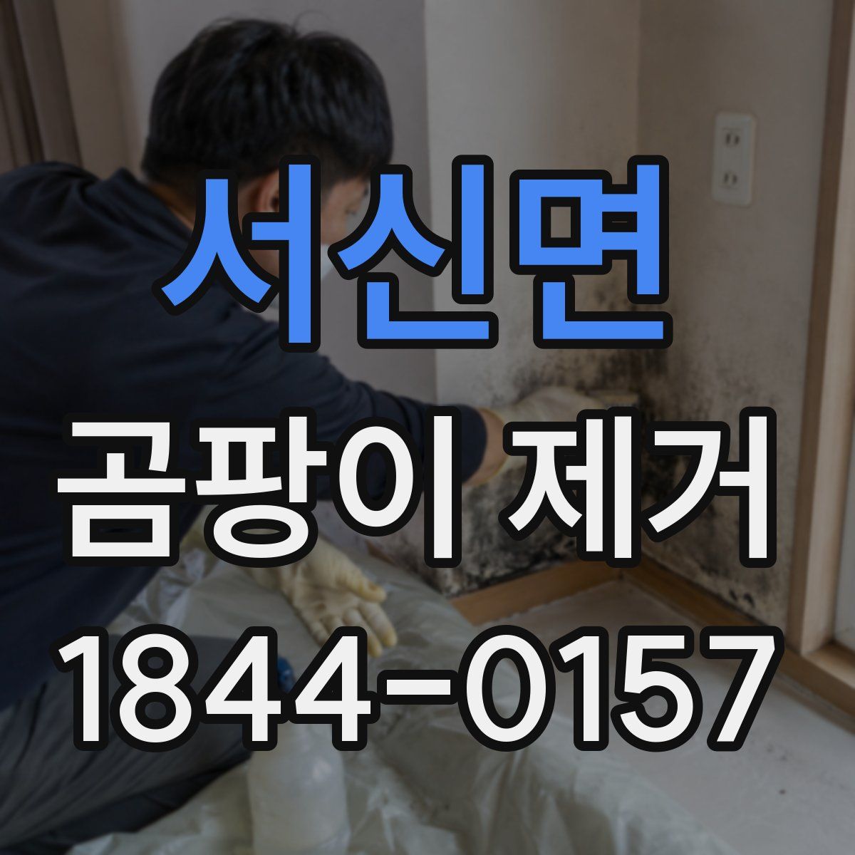 서신면 곰팡이 제거