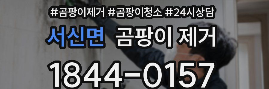 서신면 곰팡이 제거