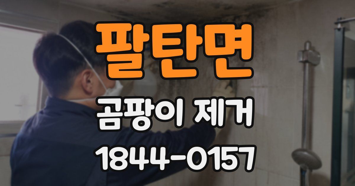 팔탄면 곰팡이 제거