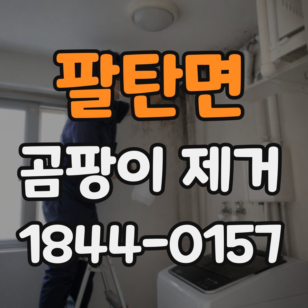 팔탄면 곰팡이 제거