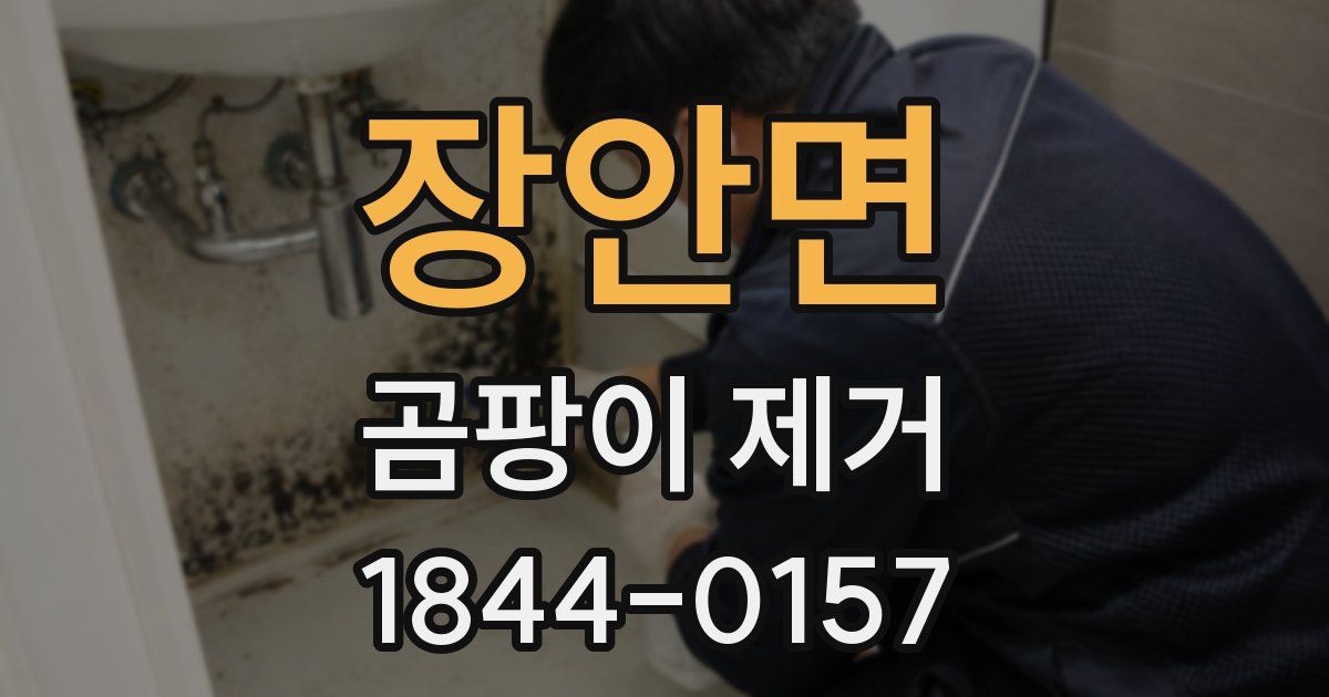 장안면 곰팡이 제거