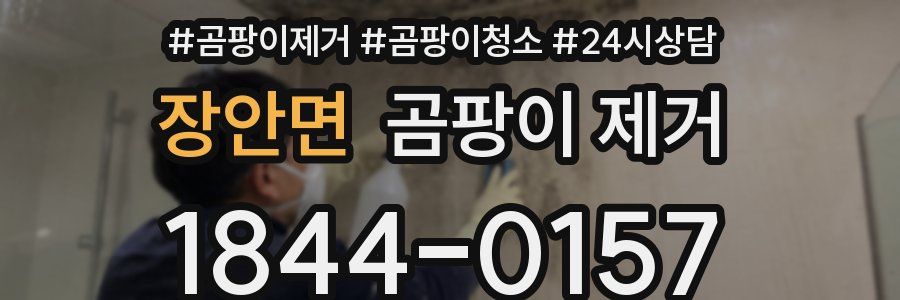 장안면 곰팡이 제거
