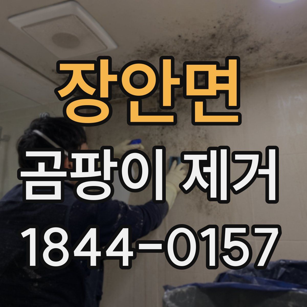 장안면 곰팡이 제거