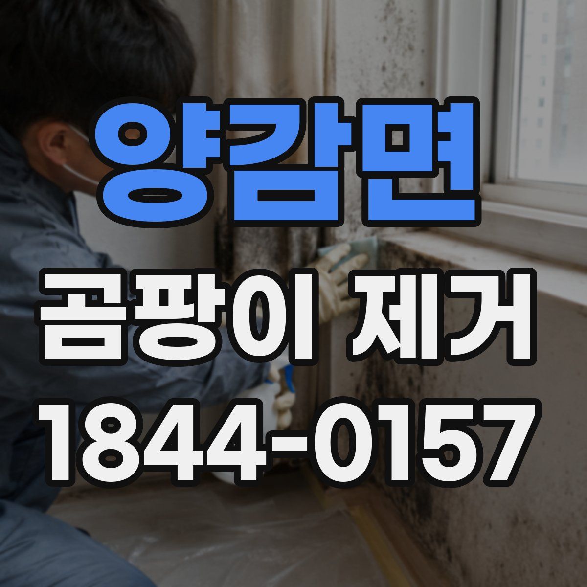 양감면 곰팡이 제거
