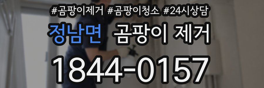 정남면 곰팡이 제거
