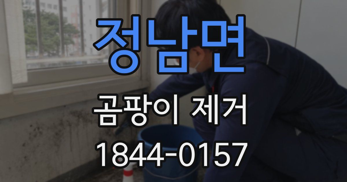 정남면 곰팡이 제거