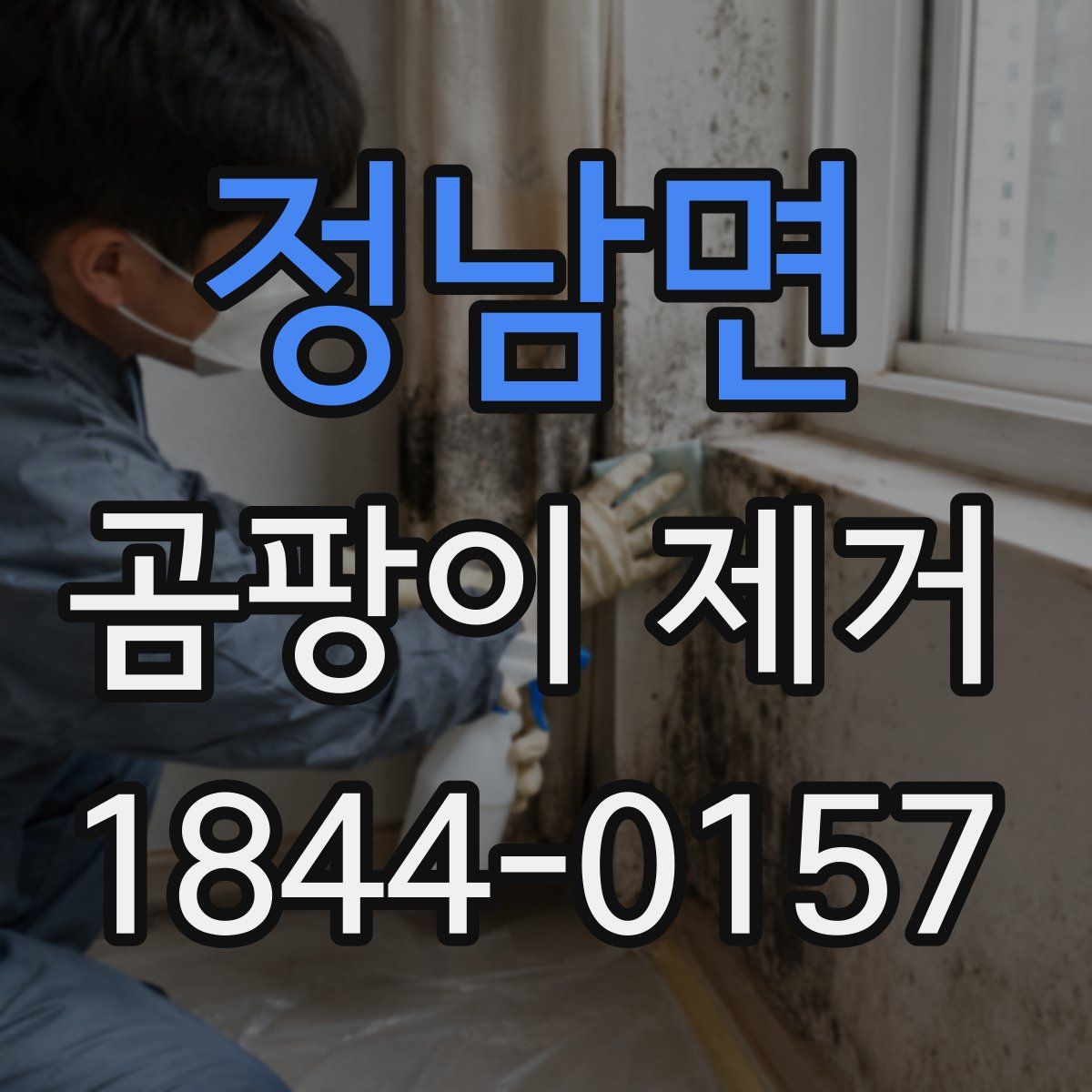 정남면 곰팡이 제거