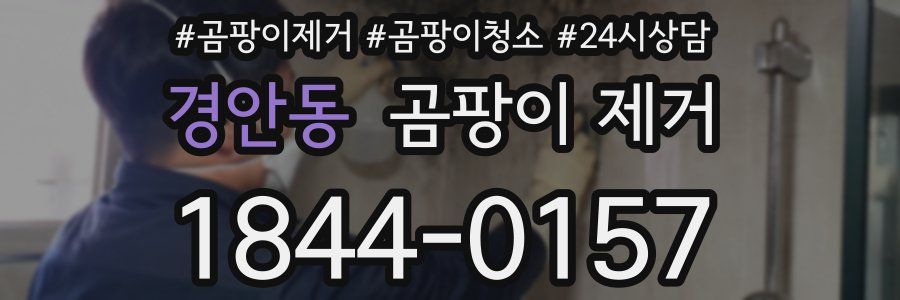 경안동 곰팡이 제거