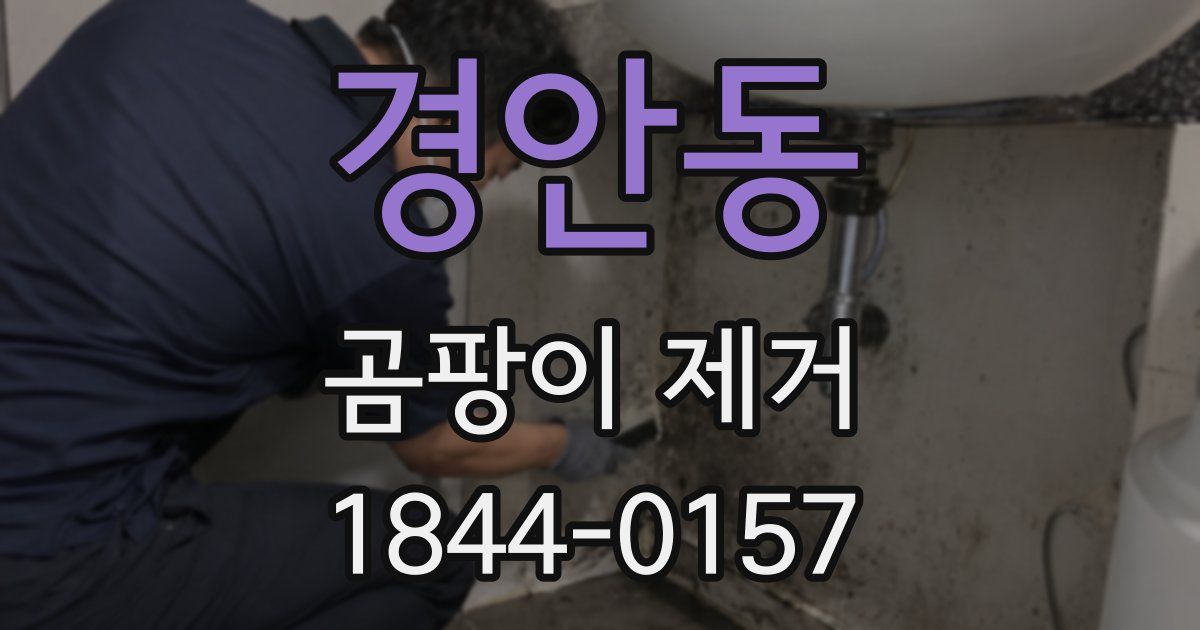 경안동 곰팡이 제거