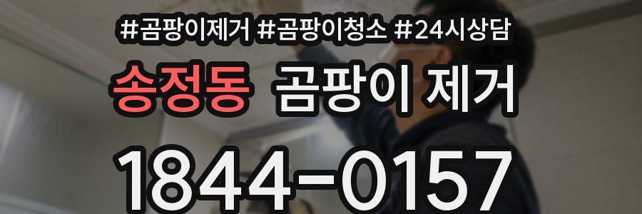 송정동 곰팡이 제거