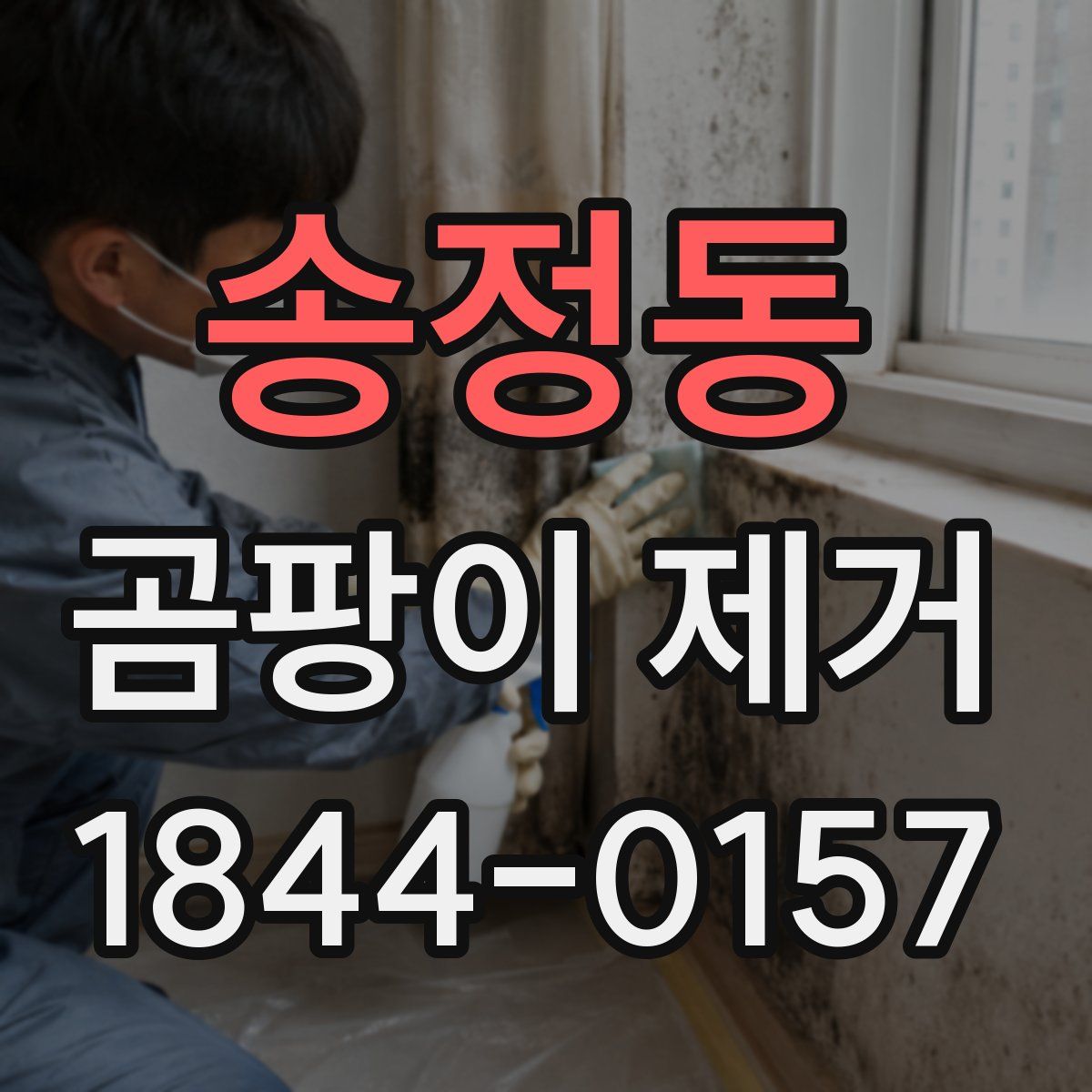 송정동 곰팡이 제거