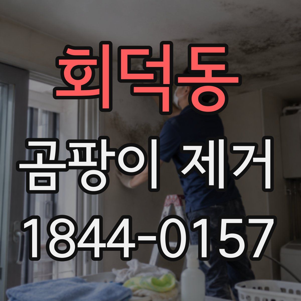 회덕동 곰팡이 제거