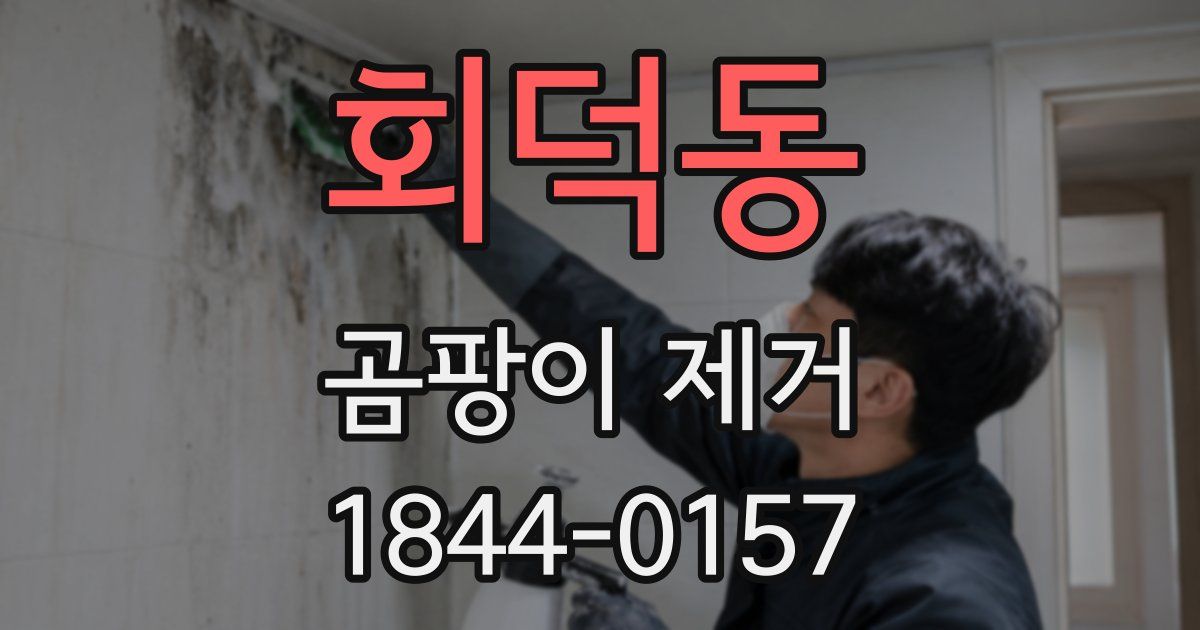 회덕동 곰팡이 제거