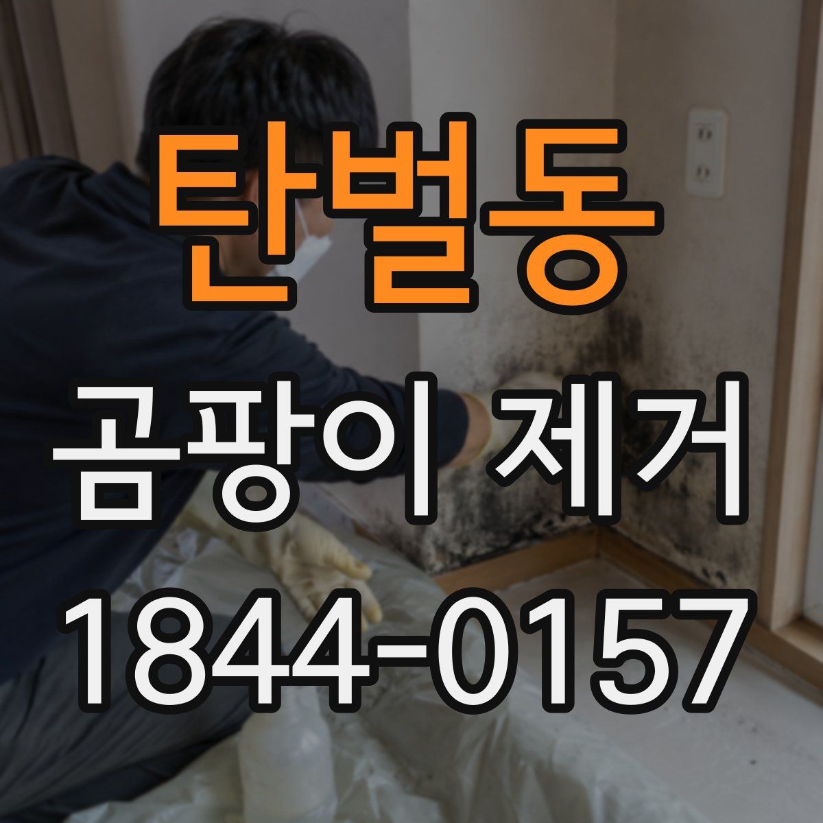 탄벌동 곰팡이 제거