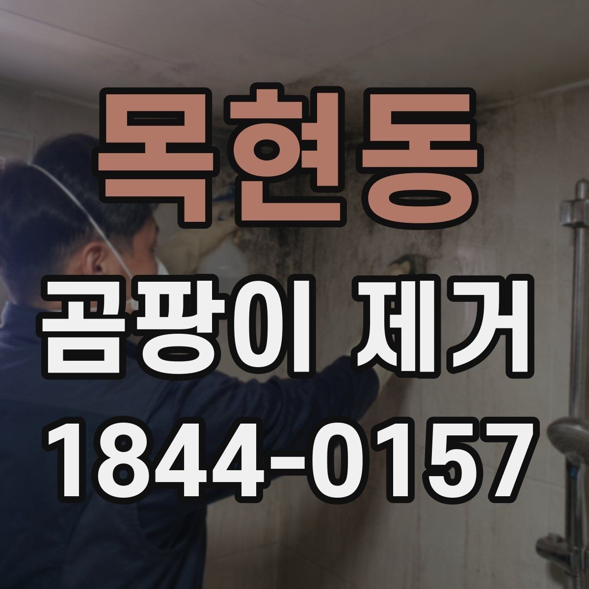 목현동 곰팡이 제거 원룸 주거 환경에 맞는 재발 예방