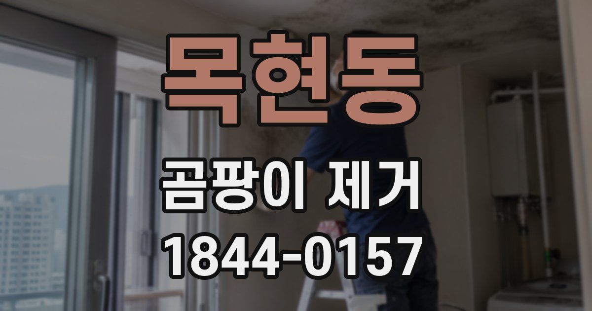 목현동 곰팡이 제거