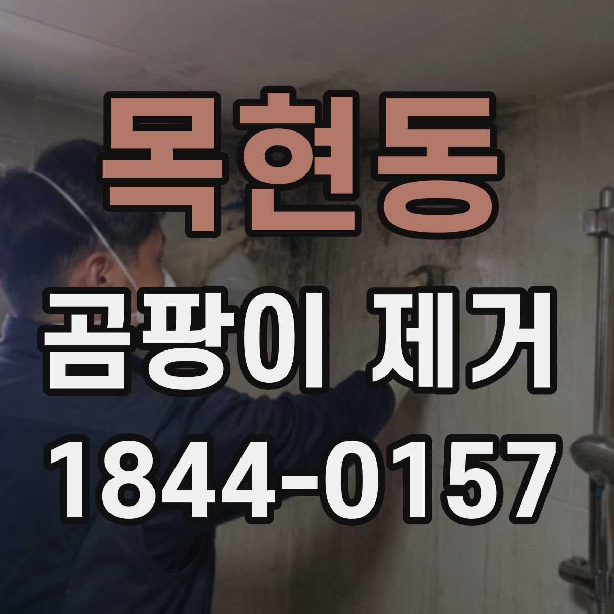목현동 곰팡이 제거