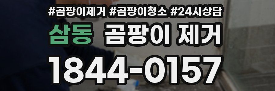 삼동 곰팡이 제거