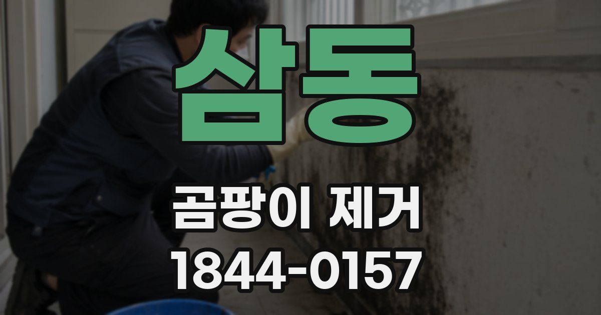 삼동 곰팡이 제거