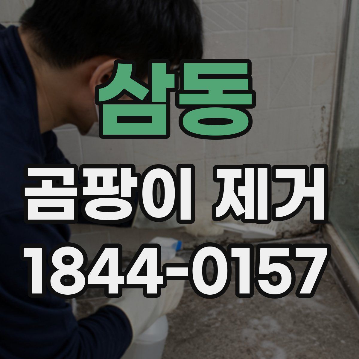 삼동 곰팡이 제거
