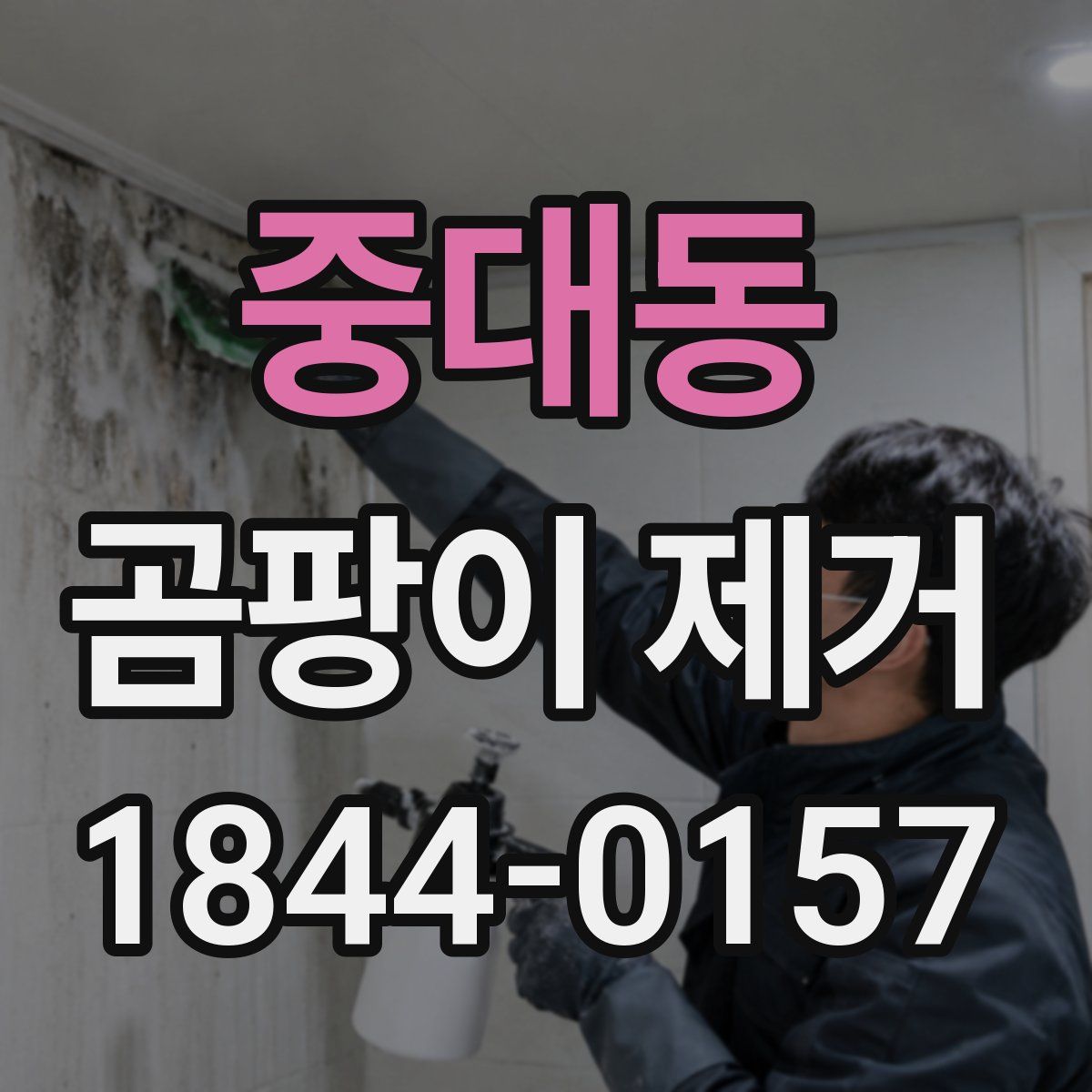 중대동 곰팡이 제거