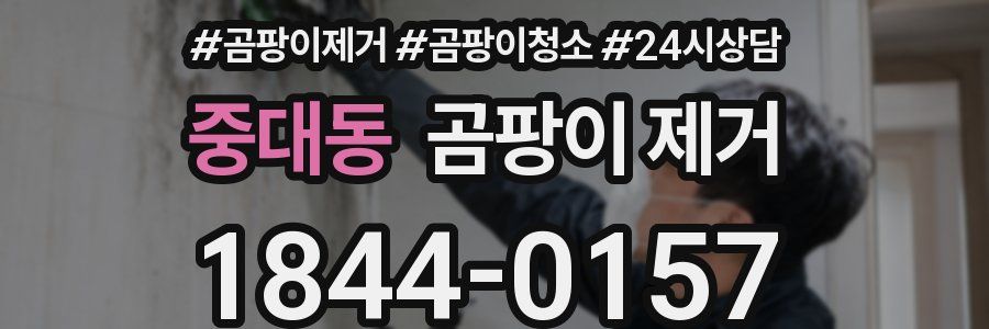 중대동 곰팡이 제거