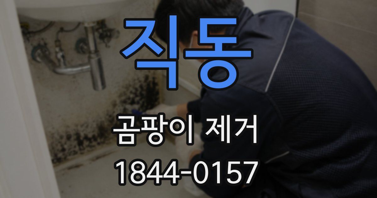 직동 곰팡이 제거