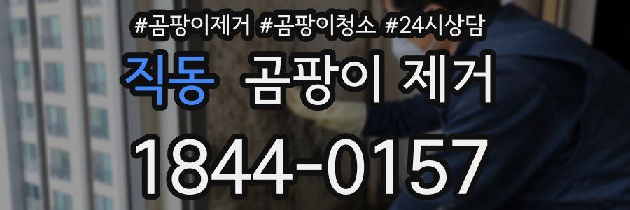 직동 곰팡이 제거