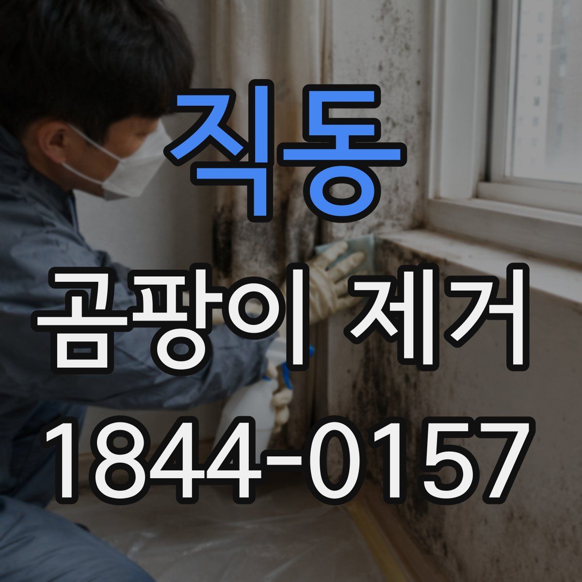 직동 곰팡이 제거