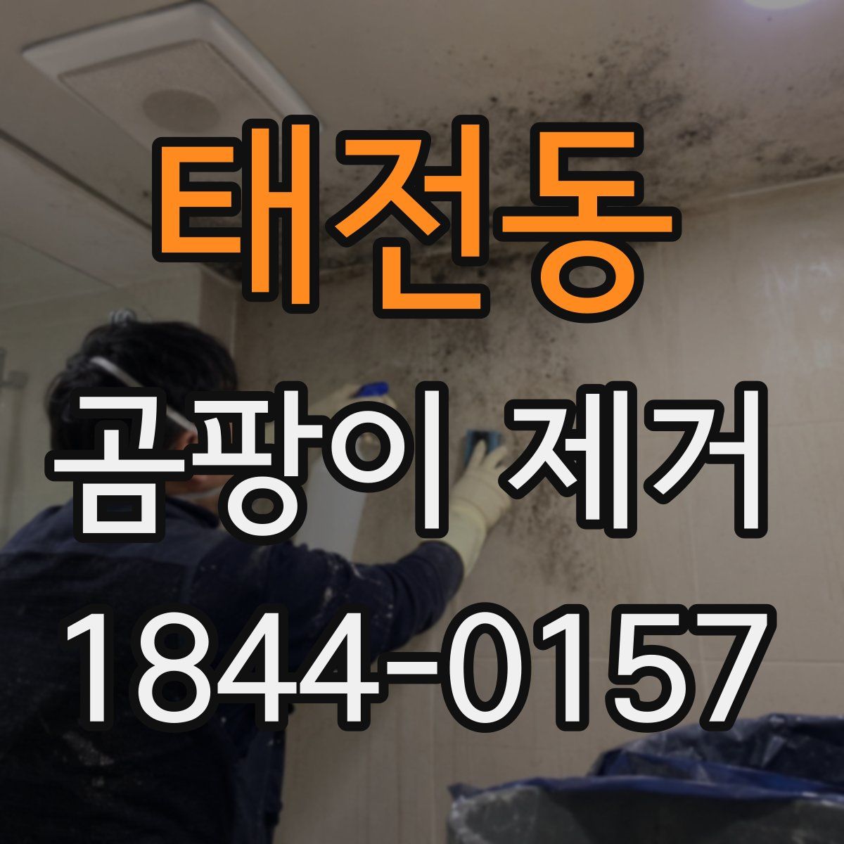 태전동 곰팡이 제거