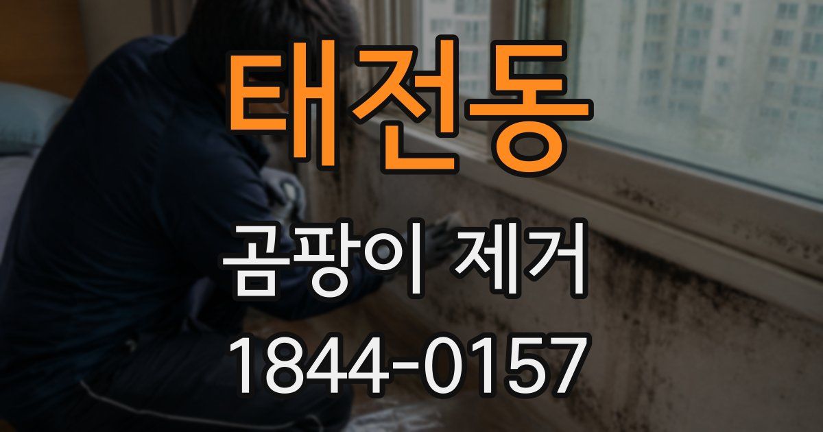 태전동 곰팡이 제거