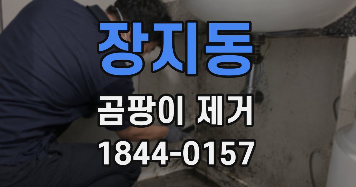 장지동 곰팡이 제거