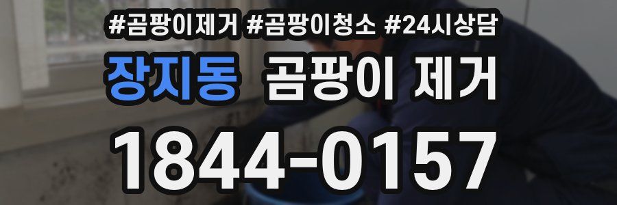 장지동 곰팡이 제거