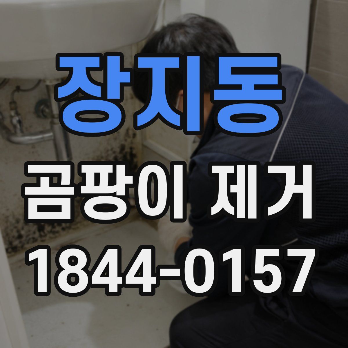 장지동 곰팡이 제거