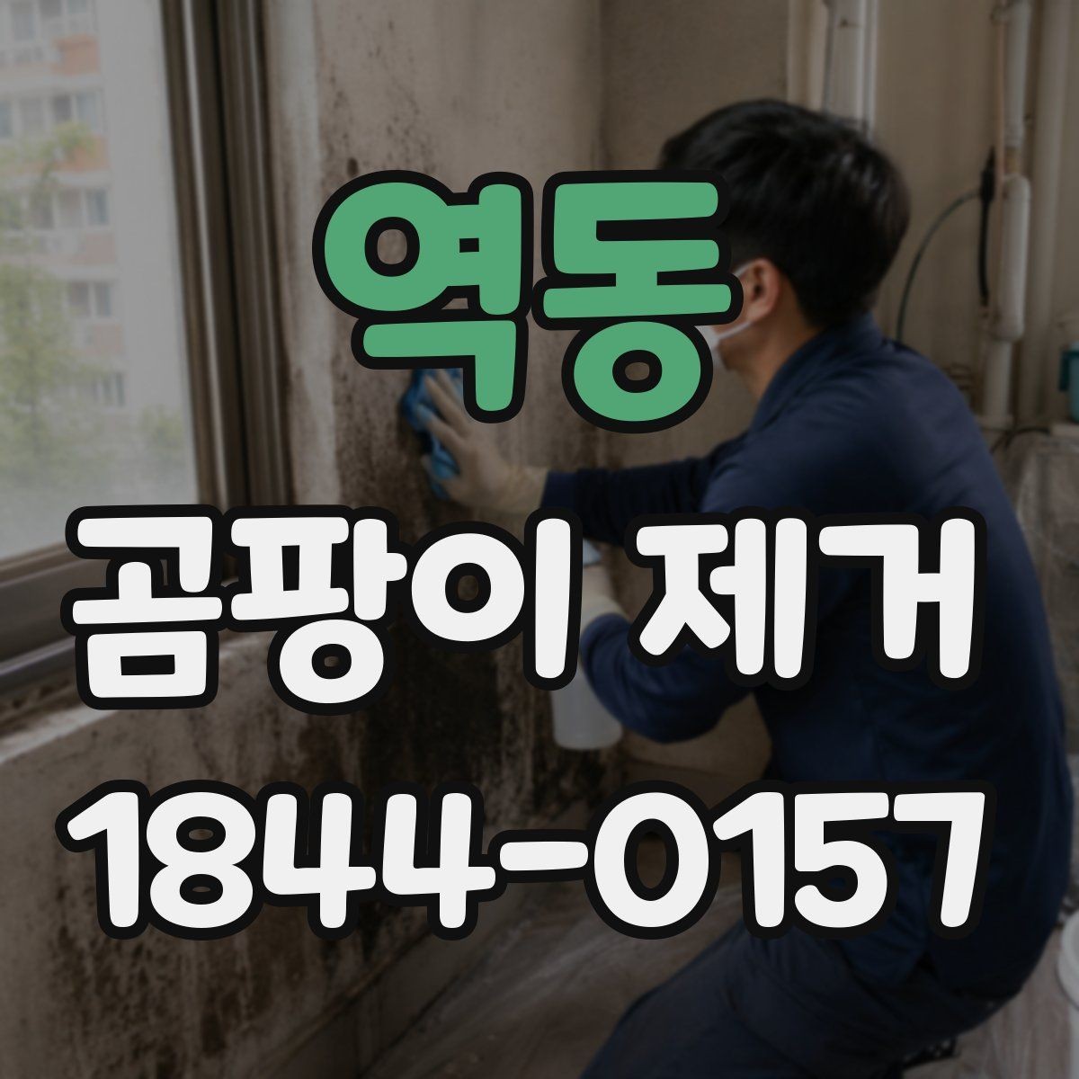 역동 곰팡이 제거 천장 작업 전 꼭 챙길 안전수칙