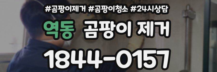 역동 곰팡이 제거