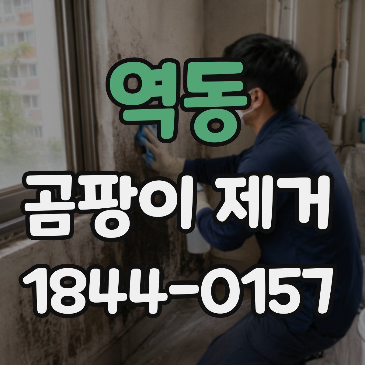역동 곰팡이 제거
