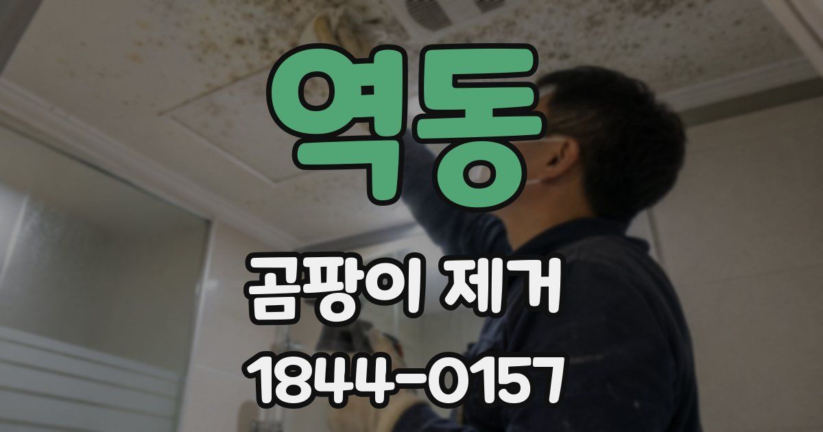 역동 곰팡이 제거