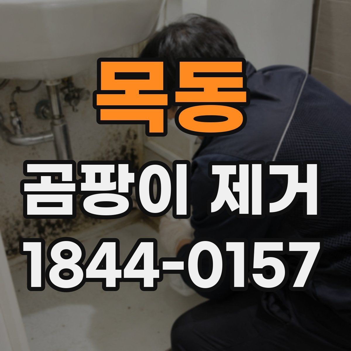 목동 곰팡이 제거 천장 작업 시 안전수칙과 준비사항