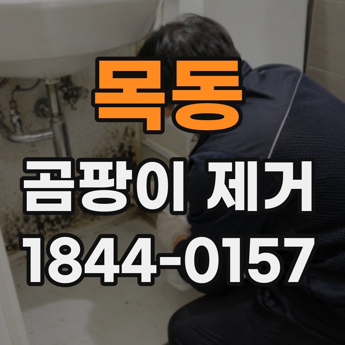 목동 곰팡이 제거