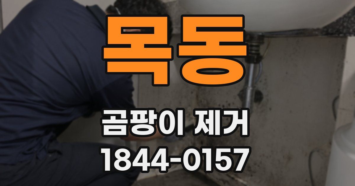 목동 곰팡이 제거