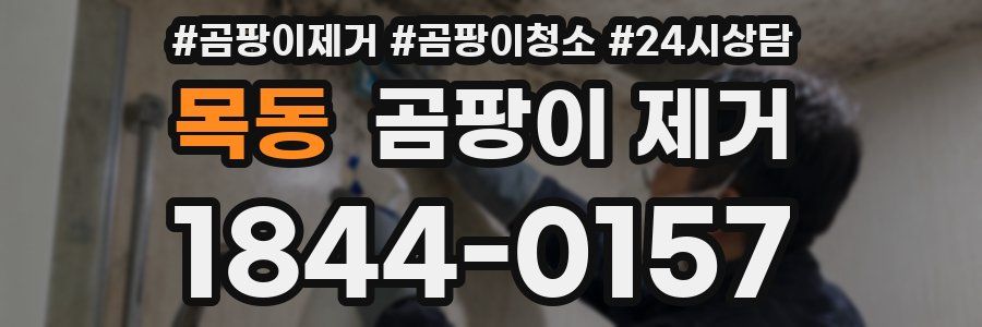 목동 곰팡이 제거